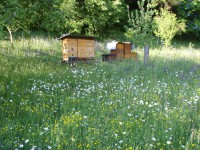 /album/cakrove-svice/jleto2011-022-jpg1/